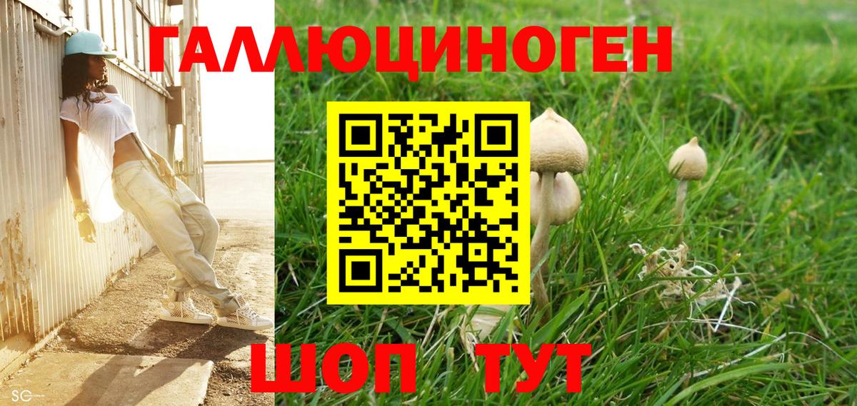Галлюциногенные грибы Cubensis  Псилоцибиновые грибы мицелий  Вход с VPN  купить наркоту  Сатка 